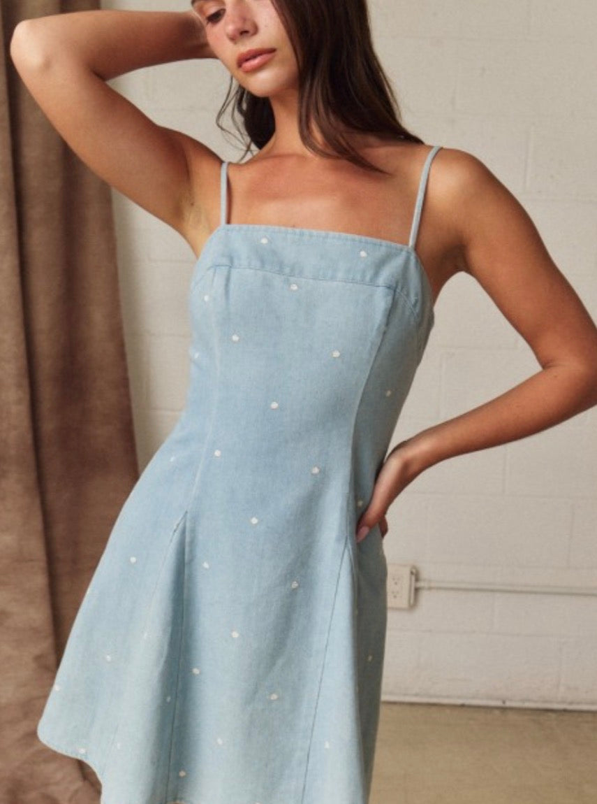 Payton Polka Dot Denim Dress