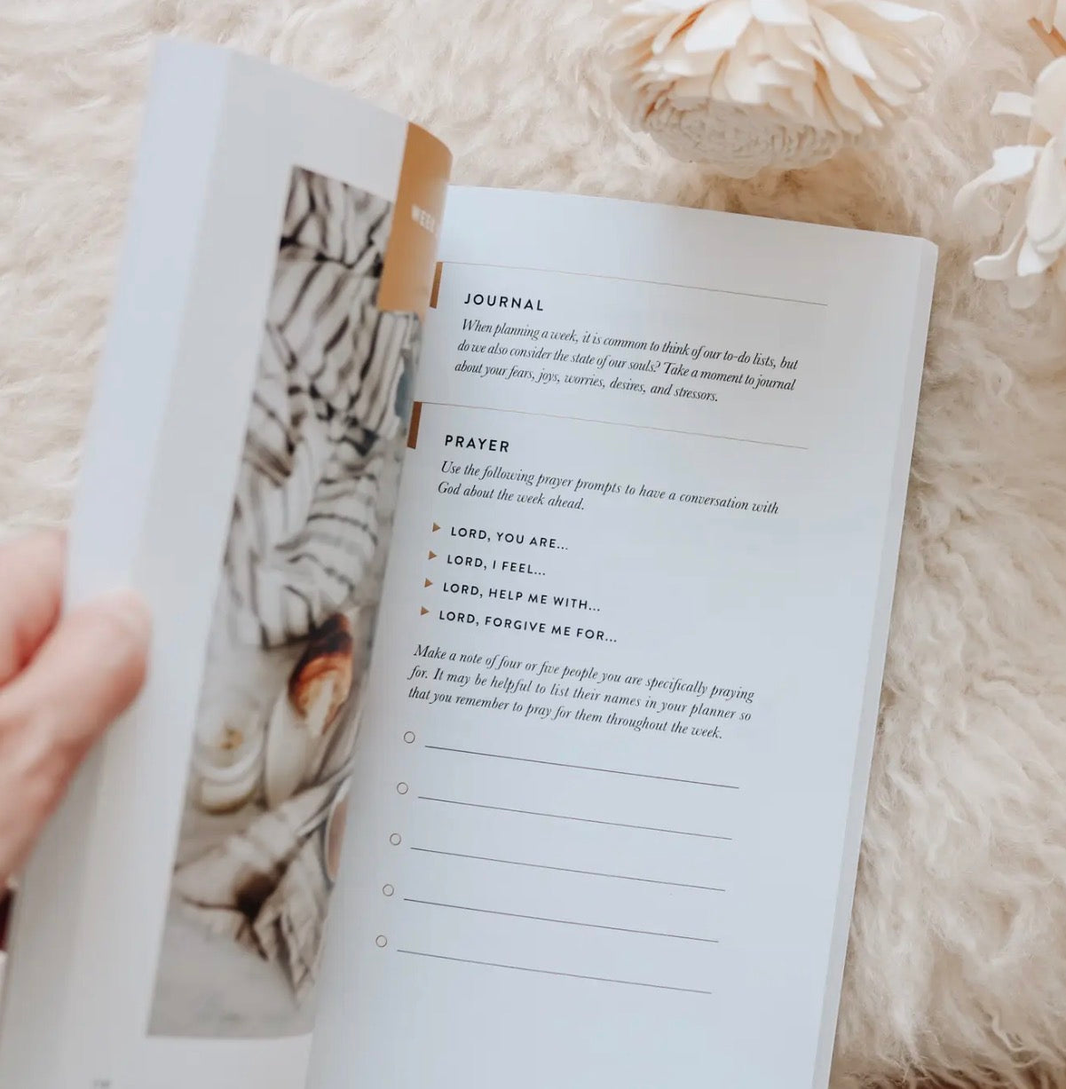 Fix Your Focus Guided Study
