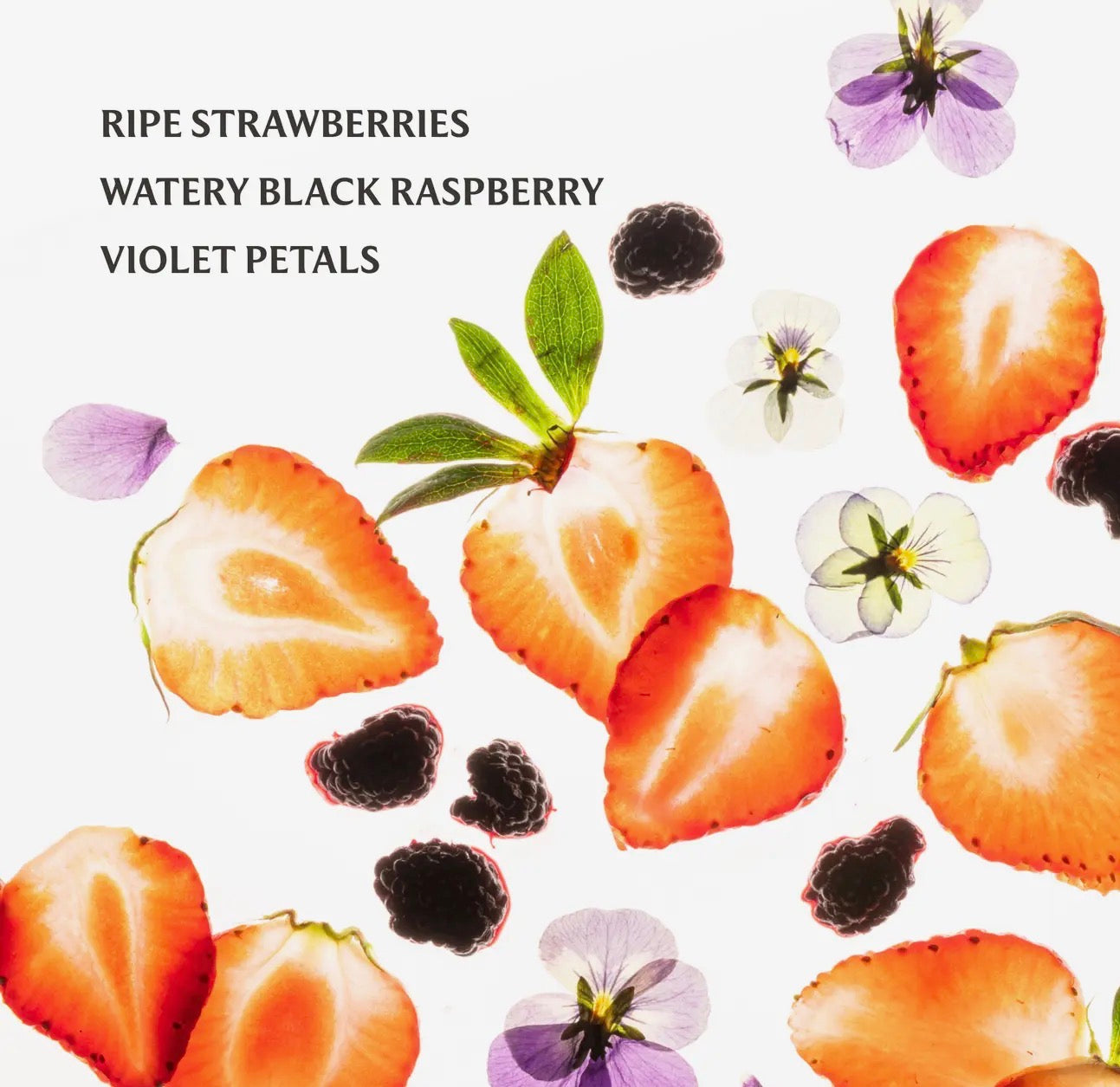 Berry Bliss Touchland
